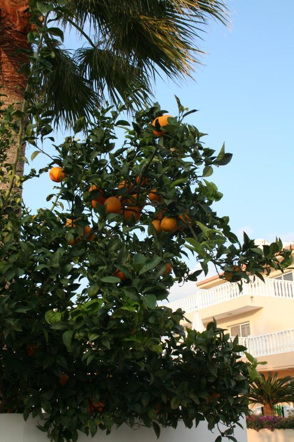 Nissi Villa Ayia Napa Exteriör bild